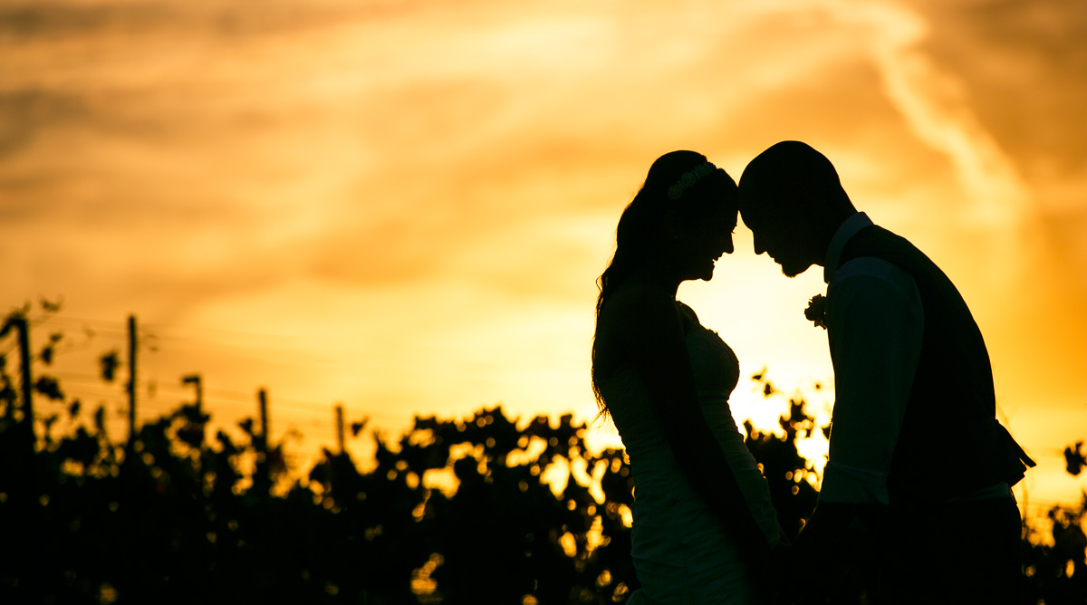 A Wedding Photographer - Bay Area Wedding and Engagement Photos - Affordable Wedding photos in Napa Valley Vineyards Meritage Resort