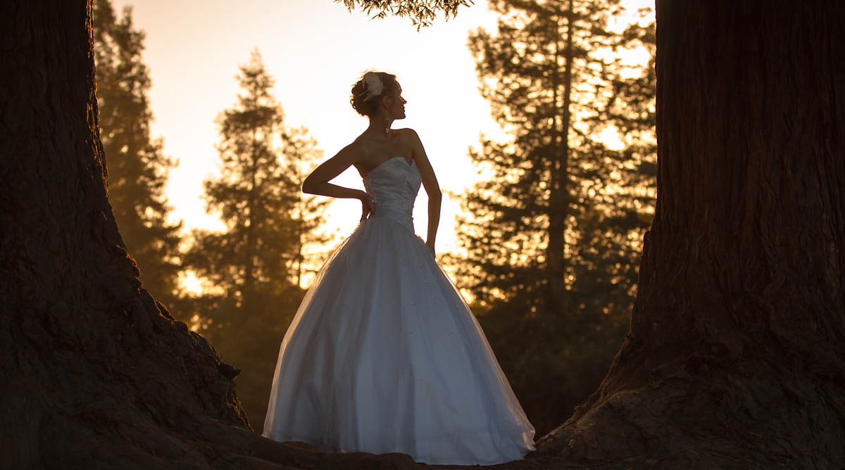 san francisco bay area wedding photographer | best wedding photographer