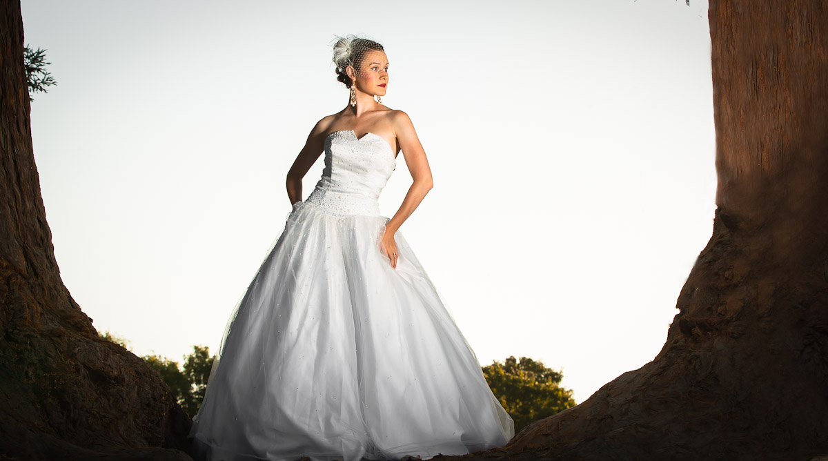 bay area wedding photographer | best wedding photographer