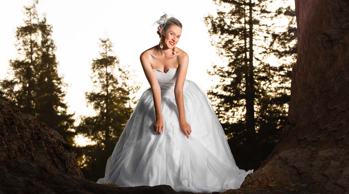 san francisco bay area wedding photographer | best wedding photographer