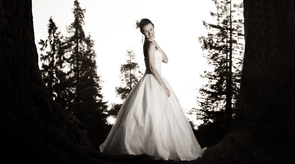bay area wedding photographer | wedding photographer